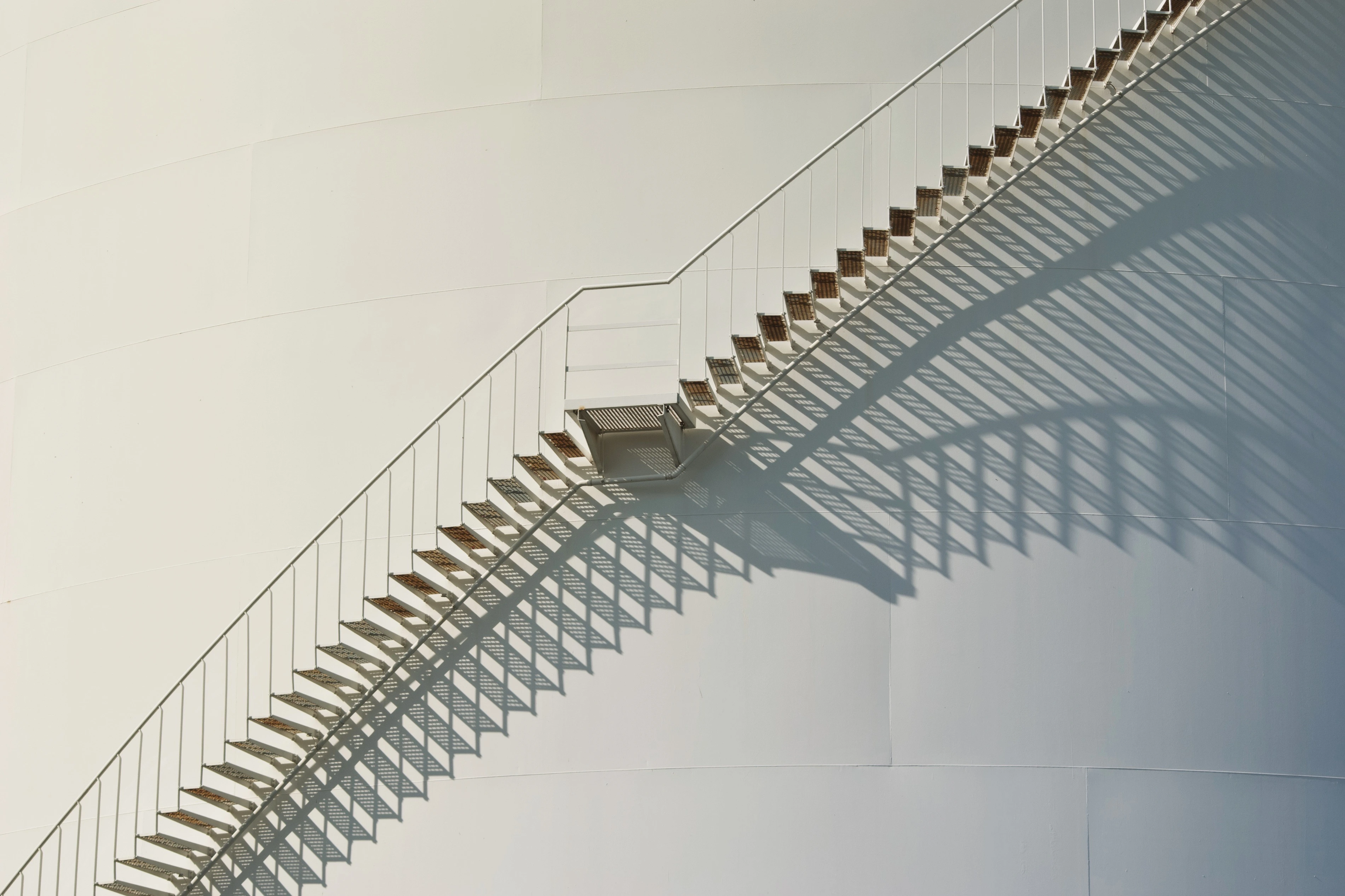 A Future of Limitless Vitality